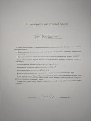 344-Mikhail-Terekhov-consultant-review.jpg